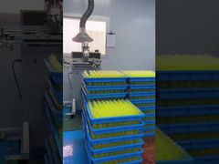 Stampa sullo schermo